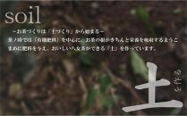 原田茶園 特上煎茶 艶花 200g(100g×2袋)【八女茶】