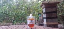 日本みつばちの垂れ蜜 パウチ180g×1【ハチミツ はちみつ 蜂蜜 垂れ蜜 百花蜜 非加熱 無加工 ミツバチ 蜜蜂 パウチ 調味料 お菓子 お菓子作り 料理 スイーツ 種子島産 鹿児島県産 国産 鹿児島県 種子島 中種子町 ふるさと納税 送料無料 BN03】