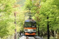 【叡山電車】叡山電車1日乗車券「えぇきっぷ」2枚セット