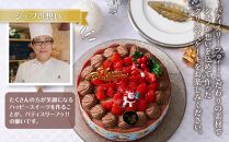 【先行予約】【2024年12月23日お届け】 クリスマスチョコケーキ 5号サイズ_04256  【 クリスマス ケーキ 菓子 お菓子 おかし スイーツ デザート 洋菓子 旭川 北海道 送料無料 おすすめ 人気 食品 】