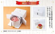 【先行予約】【2024年12月23日お届け】 クリスマスチョコケーキ 5号サイズ_04256  【 クリスマス ケーキ 菓子 お菓子 おかし スイーツ デザート 洋菓子 旭川 北海道 送料無料 おすすめ 人気 食品 】