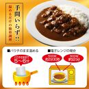 【黄桜】京都麦酒地ビールカレー（200ｇ×10個）［ キザクラ 京都 レトルト カレー 人気 おすすめ 定番 ギフト プレゼント 贈答 ご自宅用 お取り寄せ おいしい ］ 