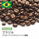 コーヒー豆 #214 ブラジル ブルボンアマレロアルコイリス農園 受注焙煎！310g 珈琲豆 コーヒー豆 自家焙煎