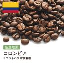 コーヒー豆 #227 コロンビア シエラネバダ 有機栽培 受注焙煎！310g 珈琲豆  自家焙煎