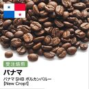 コーヒー豆 #267 パナマSHB ボルカンバルー 受注焙煎！310g 珈琲豆  自家焙煎