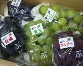 完熟シャインマスカット入り種無しぶどう詰め合わせ&nbsp;&nbsp;1.3kg