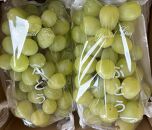 完熟シャインマスカット（通常品）&nbsp;2kg