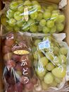 皮ごと食べられる！種無しぶどう詰め合わせプレミアムセット(完熟シャインマスカット・雄宝・マイハート)&nbsp;2kg