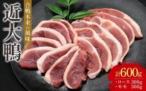 近大鴨 合計600g ロース 300g モモ 300g セット 鴨 かも