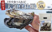 小豆島 天領真牡蠣 (殻付き生食用) 50個セット