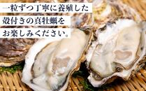 小豆島 天領真牡蠣 (殻付き加熱用) 25個セット