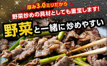 【2026年1月から発送開始】訳あり 秘伝タレ漬け牛ハラミ(サガリ)薄切 500g×3袋 合計1.5kg（タレ込み） 【 牛肉 お肉 焼肉 焼き肉 やきにく タレ 漬け 付き 味付き にく 小分け 個包装 冷凍 セットアウトドア キャンプ 人気 大容量 大量 北海道 詰め合わせ 詰合せ 簡単調理 焼くだけ ハラミ 牛ハラミ お取り寄せ 旭川市 北海道 】_04286