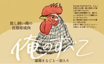 放し飼い鶏の長期育成肉「俺のすべて」 冷凍 鶏肉 1羽分パック 生（もも・むね・ささみ・手羽元・手羽先）約900gから ヘルシー 焼き鳥 唐揚げ とり肉