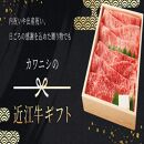 【A5ランク近江牛】すき焼き　特選！食べ比べセット（300g）（折箱入り）（上ロース・肩ロース・赤身上モモ）　2~3人前