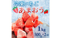 【福岡スイーツ自然の贈り物】かわいい化粧箱入り！福岡県産冷凍あまおう合計1kg(500g×2袋)