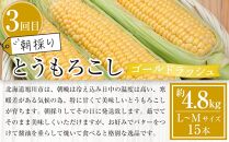 【先行予約】旬の野菜・フルーツ定期便A 3ヶ月(アスパラ・メロン・とうもろこし) (2025 年5月下旬から順次発送開始予定) 【 野菜 アスパラ グリーンアスパラ アスパラガス ゴールドラッシュ とうもろこし 赤肉 メロン フルーツ 果物 旭川市ふるさと納税 北海道ふるさと納税 旭川市 北海道 お取り寄せ 送料無料 定期便 頒布会 冷蔵配送 クール便 】_04539