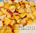 よしだや　ぬれ甘納豆（小豆・栗・白花豆・さつまいも）各100g　贈答用セット