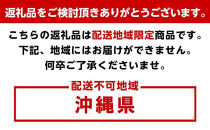 TB&nbsp;1人掛けソファ&nbsp;ソファラウンジチェア