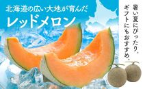 【先行予約】 香り豊かな 北海道レッドメロン 1.3kg×2玉(2025年7月下旬発送予定) 【 果物 くだもの フルーツ メロン 赤肉 赤肉メロン 旬 お取り寄せ 甘い 北海道産 旭川市 北海道 送料無料 】_04540