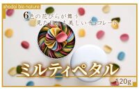 【定期便5回 毎月お届け】【花びらのようなチョコレート ミルティペタル】6色で見た目にも美しく可愛らしいチョコレート。6つのフレーバーを楽しめます。花びらが舞うように心も踊るチョコレート（ミルティペタル）を是非お楽しみください＜福岡市＞