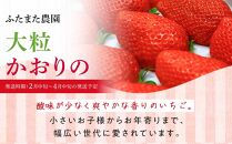 先行受付【2025年2月中旬以降発送予定】「かおりの」大粒　満足セット 約1kg　農家直送！　数量限定