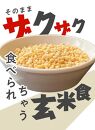 【つや姫玄米使用】米クランチ 3種セット　計6袋(塩味、梅味、カレー味 各2袋)＜JA庄内みどり＞