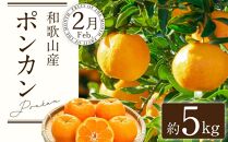 定期便全3回 【2月・3月・4月発送】 和歌山の春のフルーツ （ポンカン・清見オレンジ・まりひめ）【TM174】