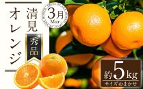 定期便全3回 【2月・3月・4月発送】 和歌山の春のフルーツ （ポンカン・清見オレンジ・まりひめ）【TM174】