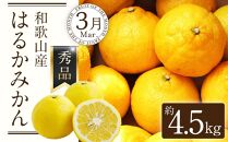 定期便全3回 【2月・3月・4月発送】 和歌山の春の柑橘 （ポンカン・はるか・ブラッドオレンジ）秀品【TM173】