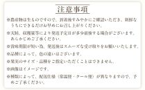 定期便全3回 【2月・3月・4月発送】 和歌山の春の柑橘 （ポンカン・はるか・ブラッドオレンジ）秀品【TM173】