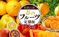 定期便全3回 【2月・3月・4月発送】 和歌山の春の柑橘 （ポンカン・はるか・ブラッドオレンジ）秀品【TM173】
