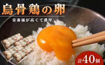 烏骨鶏の卵 40個セット【卵 たまご 烏骨鶏 うこっけい 卵焼き ゆで卵 卵かけご飯 香川県 さぬき市】