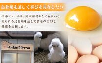 訳あり 烏骨鶏の卵 20個【卵 たまご 烏骨鶏 うこっけい 卵焼き ゆで卵  家庭用 業務用 香川県 さぬき市】