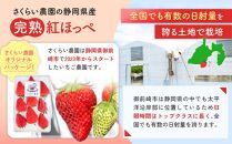 先行受付【静岡県産いちご】完熟紅ほっぺ2パックセット（300g×2パック）【2025年1月下旬以降発送予定】