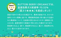 桐箱入り高級贈答用 とくしまオーガニックいちご  鶏冠果いちご(特大約400g) 先行受付【2025年2月より順次発送】