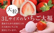 【1月発送】フルーツ大福 さぬき姫のかほり餅 8個入り【いちご 苺 大福 いちご大福 スイーツ お菓子 和菓子 さぬき市 志度 風月堂】