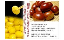 【季節限定】フルーツ大福 秋栗のみづき餅【栗 スイーツ お菓子 和菓子 さぬき市 風月堂】