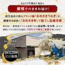 【訳あり】鹿児島県産長蒲焼　規格外品（4尾～8尾）　800ｇ