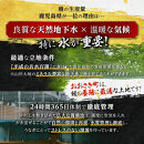 【訳あり】鹿児島県産長蒲焼　規格外品（4尾～8尾）　800ｇ