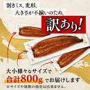 【訳あり】鹿児島県産長蒲焼　規格外品（4尾～8尾）　800ｇ