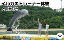 イルカのトレーナー体験&nbsp;ペア&nbsp;入場券付き【体験&nbsp;イルカ&nbsp;ドルフィン&nbsp;日本ドルフィンセンター&nbsp;香川県&nbsp;さぬき市】