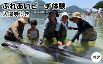 ふれあいビーチ体験&nbsp;ペア&nbsp;入場券付き【体験&nbsp;イルカ&nbsp;ドルフィン&nbsp;日本ドルフィンセンター&nbsp;香川県&nbsp;さぬき市】