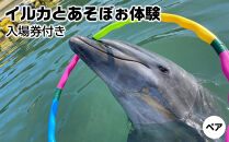 イルカとあそぼぉ体験&nbsp;ペア&nbsp;入場券付き【体験&nbsp;イルカ&nbsp;ドルフィン&nbsp;日本ドルフィンセンター&nbsp;香川県&nbsp;さぬき市】