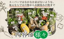 特別栽培 旬の採れたて お野菜 7～10種類詰め合わせセット TAGATAME タガタメ【野菜 特別栽培 栽培期間中農薬不使用 採れたて さぬき市】