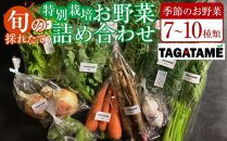 特別栽培 旬の採れたて お野菜 7～10種類詰め合わせセット TAGATAME タガタメ【野菜 特別栽培 栽培期間中農薬不使用 採れたて さぬき市】