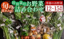 特別栽培 旬の採れたて お野菜 12~15種類詰め合わせセット TAGATAME タガタメ【野菜 特別栽培 大容量 栽培期間中農薬不使用 採れたて さぬき市】