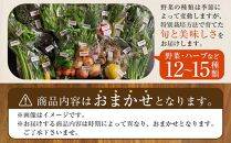 特別栽培 旬の採れたて お野菜 12~15種類詰め合わせセット TAGATAME タガタメ【野菜 特別栽培 大容量 栽培期間中農薬不使用 採れたて さぬき市】