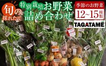 特別栽培 旬の採れたて お野菜 12~15種類詰め合わせセット TAGATAME タガタメ【野菜 特別栽培 大容量 栽培期間中農薬不使用 採れたて さぬき市】