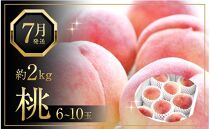 先行予約 白桃 2kgセット ジューシーな果汁と果肉が自慢