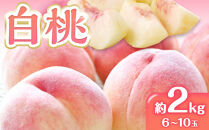 先行予約&nbsp;白桃&nbsp;桃&nbsp;もも&nbsp;約2kg&nbsp;6-10玉入り&nbsp;|&nbsp;香川県産&nbsp;果物&nbsp;くだもの&nbsp;フルーツ&nbsp;ジューシーな果汁と果肉が自慢